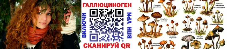 Псилоцибиновые грибы GOLDEN TEACHER Короча